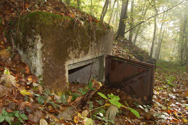 Une niche à munitions ayant conservée sa porte métaliquue de la batterie d'artillerie n°6 de Roppe. VAUBOURG Julie