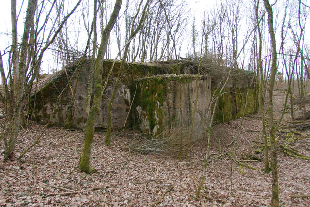 L’abri de combat de la Haye-du-Pin. VAUBOURG Julie