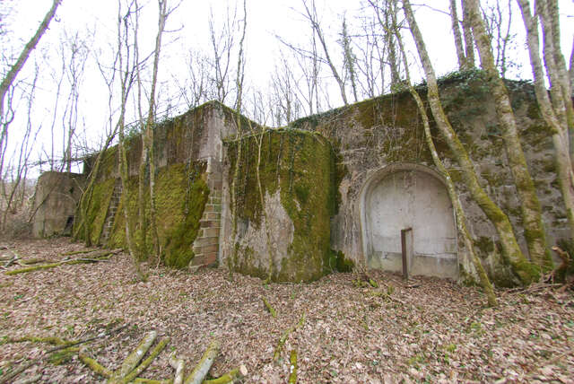 L’abri de combat de la Haye-du-Pin. VAUBOURG Julie