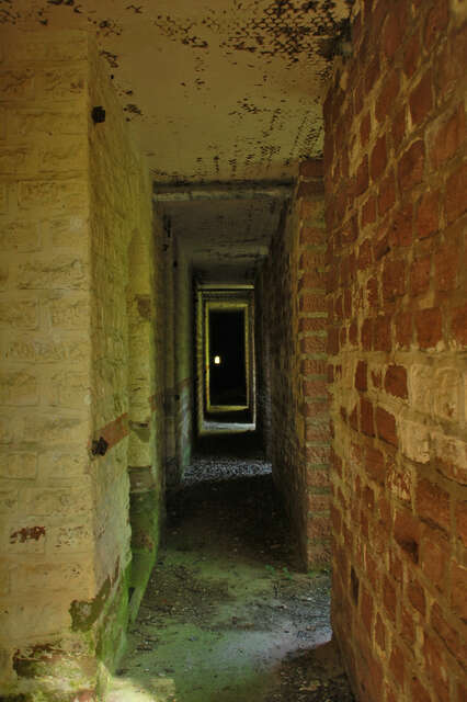Galerie de la facade de l’abri de combat de Longchamp-ouest. VAUBOURG Lucas