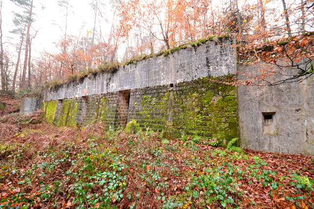 L'abri de combat de Vorpaille. VAUBOURG Cédric