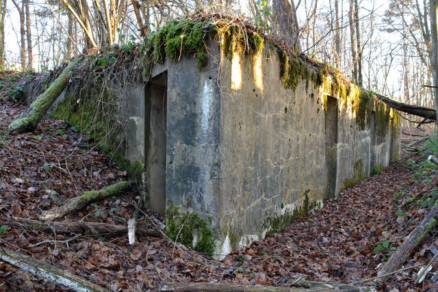 Abri bétonné de la redoute des Adelphes. VAUBOURG Cedric