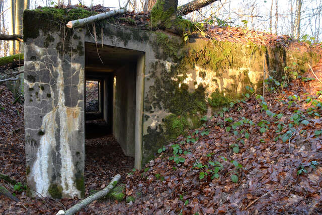 Abri bétonné de la redoute des Adelphes. VAUBOURG Cedric