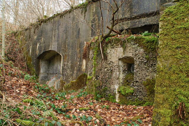 L’abri de combat de Malgré-moi. VAUBOURG Julie