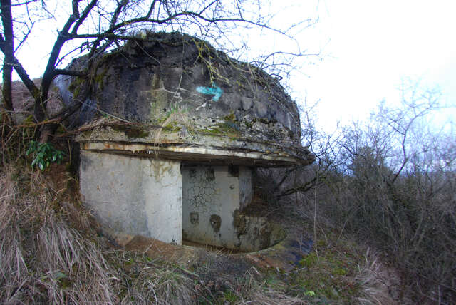 Une des deux casemates de projecteur du fort de Pont-Saint Vincent dans la trouée de Charmes. VAUBOURG Cédric