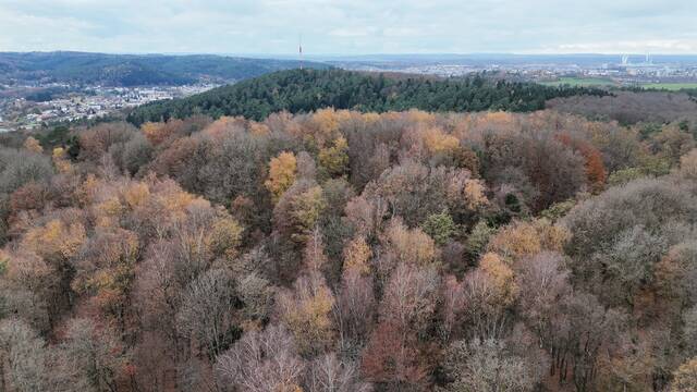 Vue aérienne du fort au saillant 2. VAUBOURG Lucas