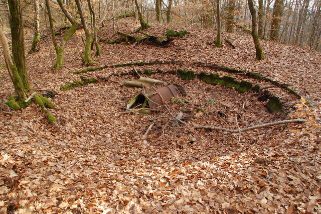 La cuve pour canon antiaérien aménagée en 1932 au saillant 3. VAUBOURG Cédric
