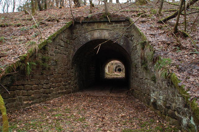 Le passage couvert au saillant 1 vers le saillant 2. VAUBOURG Julie