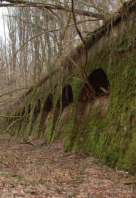 Détail du mur de contrescarpe près de la caponnière double. VAUBOURG Julie